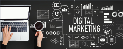 Webマーケティング支援事業